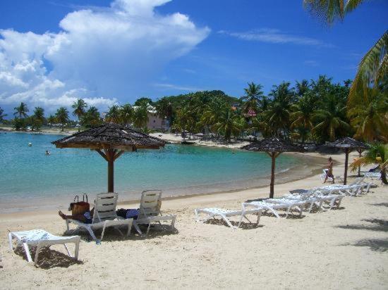 Studio Vue Mer Village Viva Bas Du Fort, Gosier Le Gosier  Esterno foto